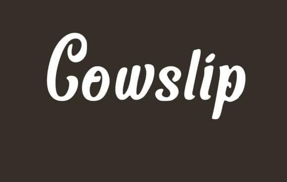 Cowslip Font: A Soft Serif for Elegant Branding
