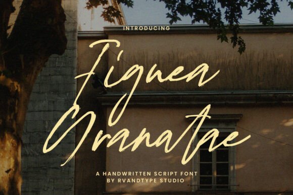 Figuea Granatae: A Premium Script Font for Web Design
