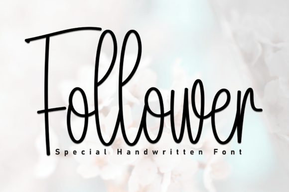 Follower: A Handwritten Typeface for Modern Web Design